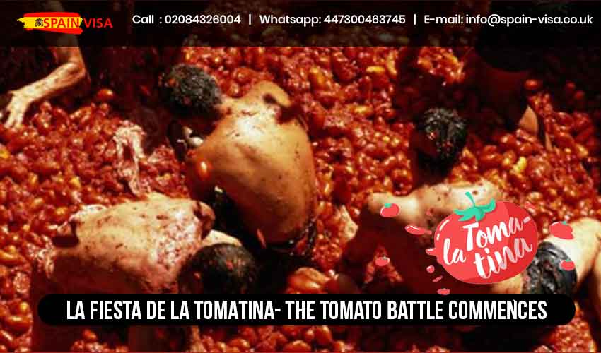 LA FIESTA DE LA TOMATINA- The Tomato Battle Commences