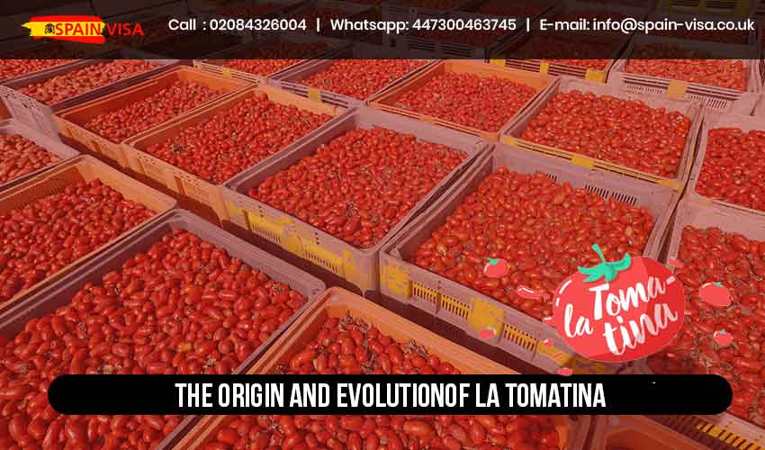 The Origin and Evolutionof La Tomatina