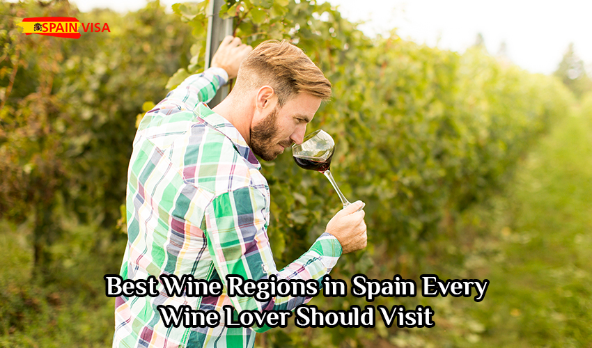 Best Wine Regions in Spain Every Wine Lover Should Visit