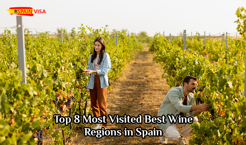 Top 8 Most Visited Best Wine Regions in Spain